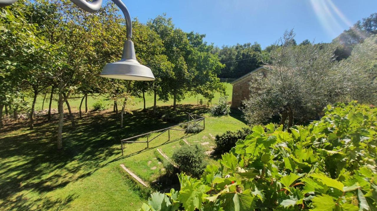 Al Noceto Countryside Bed & Breakfast Busso Exterior photo